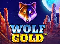 Wolf G Casino Game  Goldwin Casino Online Canada