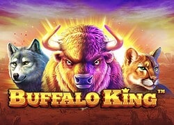 Buffalo King Casino Slot  Goldwin Casino Online Canada