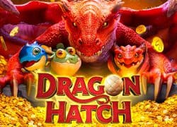 Dragon Hatch Casino Game  Goldwin Casino Online Canada